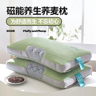 New Cool Ice Silk Mat Full Buckwheat Pillow Adult Home Summer Single Cervical Spine Magnetic Therapy Massage Pillow Core