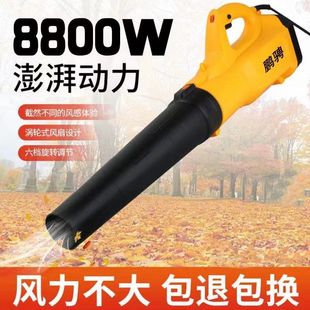 Storm Blower 220V Powerful Blower Construction Site Industrial Dust Removal Machine High Power Turbine Snow Blower Blower