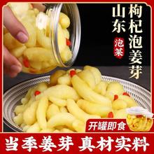 生姜枸杞仔姜芽酸甜即食山东淄博新姜芽姜芽泡鲜嫩嫩姜芽腌制泡菜