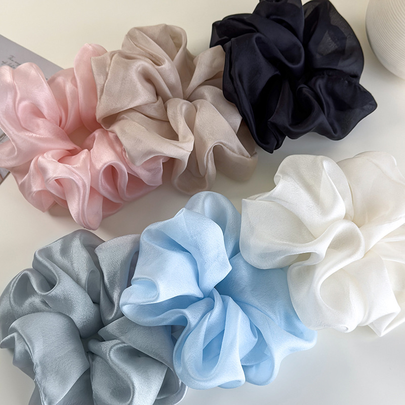 20250219-2025_02_19_10_06_IMG_