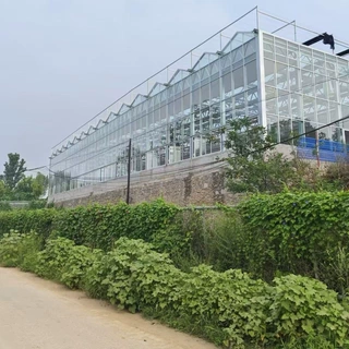 生切花温室工程 预冷保鲜采收后处理大棚 节能型智能设施设计与施