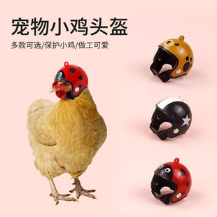 Amazon creative chicken helmet cross-border new product protection chicken helmet hen hat head cover pet supplies