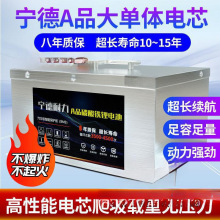 電動車鋰電池磷酸鐵鋰等48v60v72V兩輪三輪外賣快遞大單體鋰電瓶