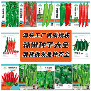 Դ�^�S�����l�����N�Ӵ�ȫ���콷ţ�ǽ��ݽz���ʽ��������˽��N��