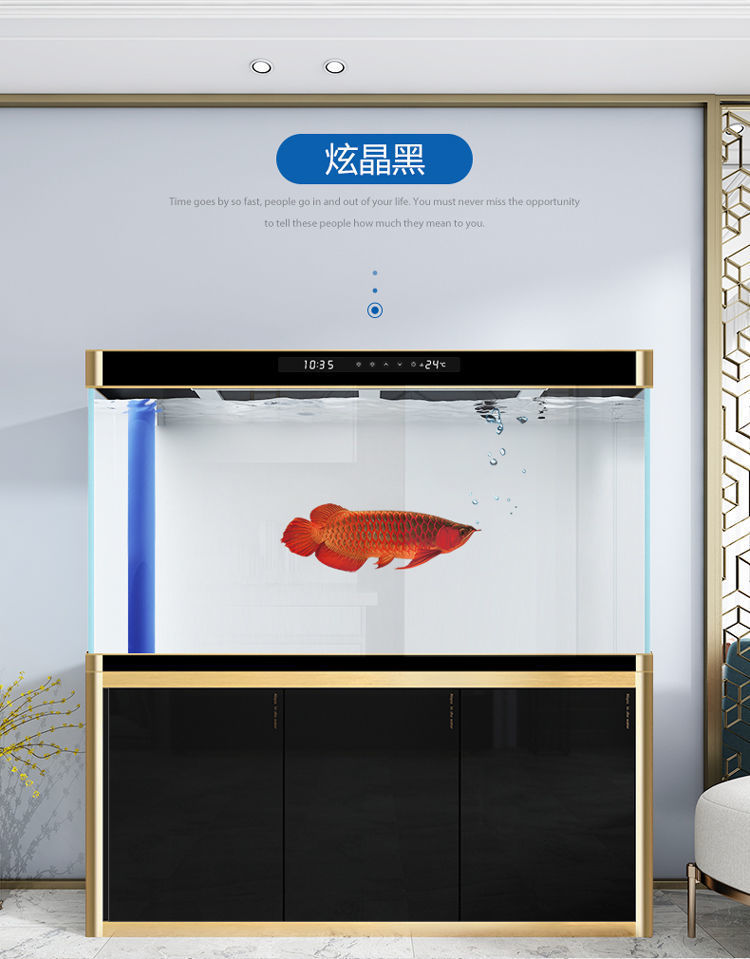 13872bb2-3c2b-4bc4-9b6a-c77969702eec.jpe