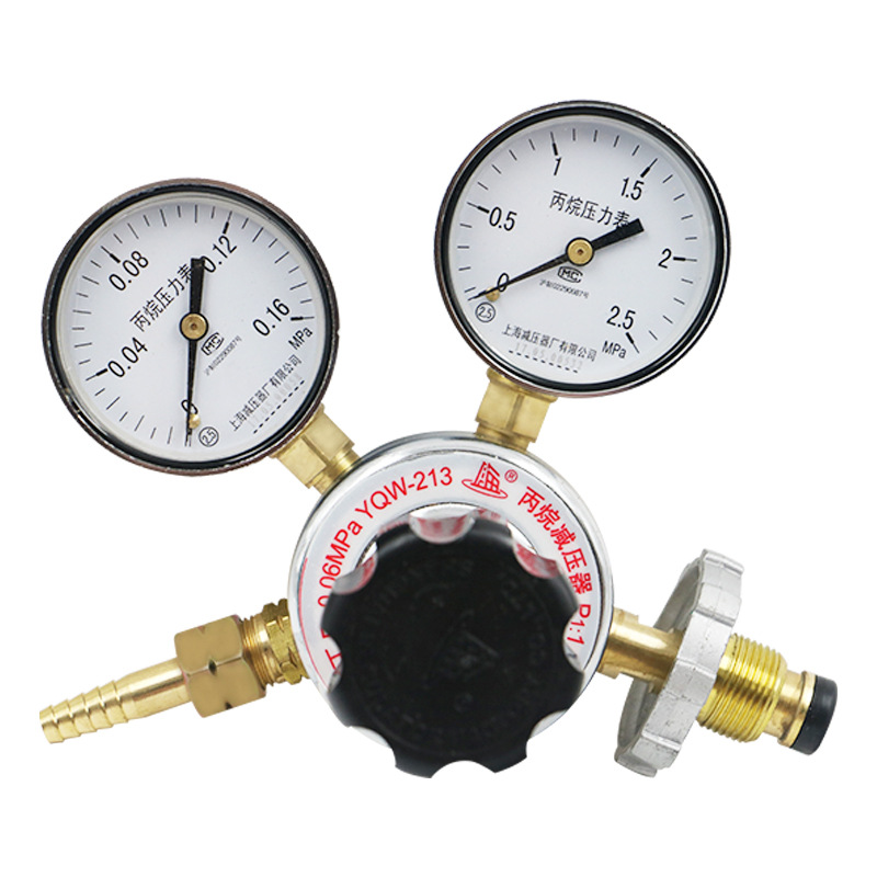 YQW-213丙烷减压器 调压器 压力表调压阀稳压器 上海减压器厂
