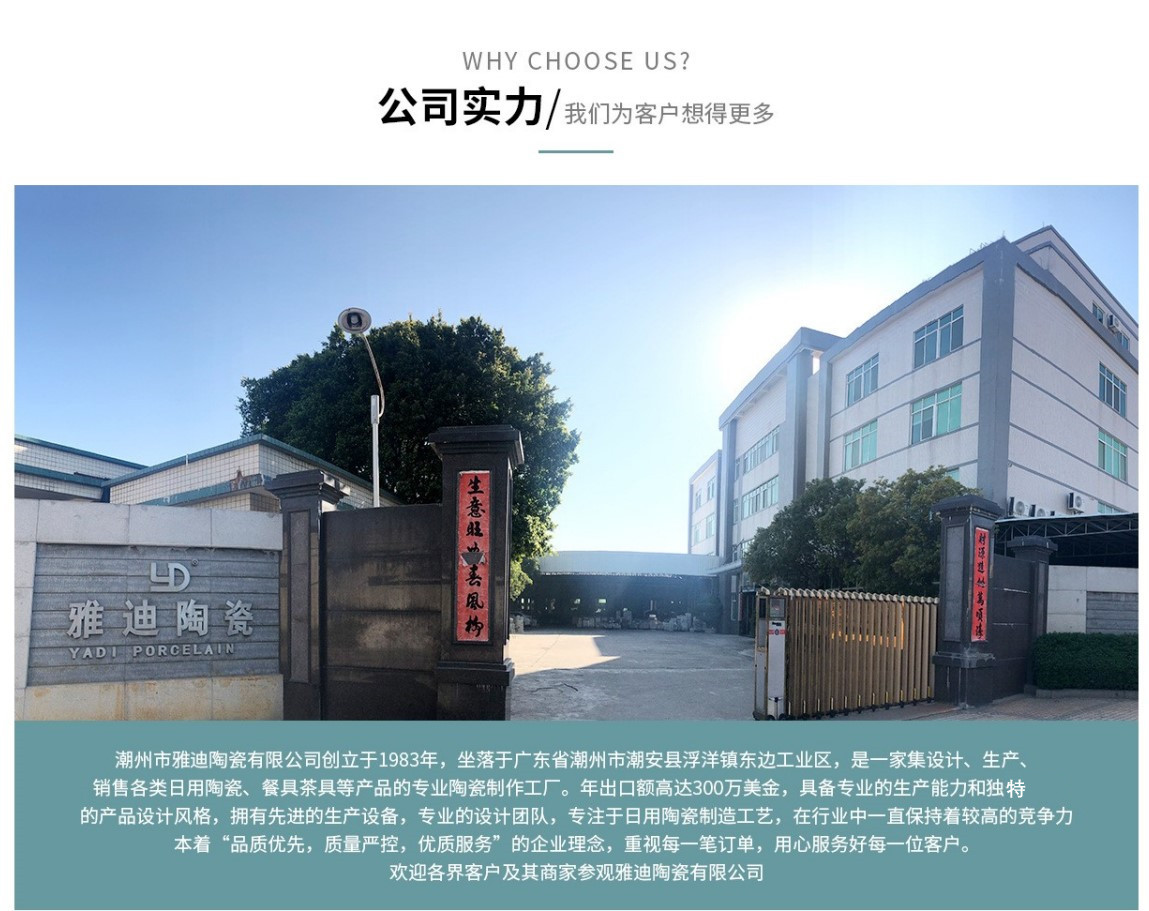 雅迪简介_副本