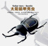 Toy solar-powered for experiments, grasshopper, cricket, science and technology
