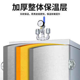 史蒂芬高原蒸饭柜商用学校企业酒店食堂蒸包蒸箱蒸柜SDF-RM-DG