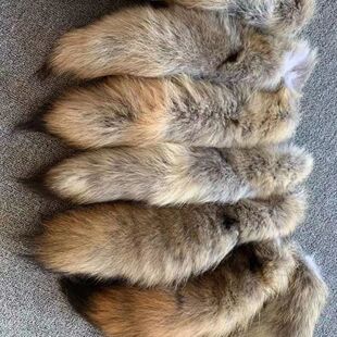 �ǹ�β��耳׉�����β�͒����ë耳׿���̨β�͵��߿�����Ȥ����