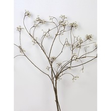 2026С׹Ȼɻ滨ֹ֦Ҿӿ͏d[insR