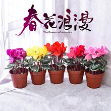 �ɿ́�һƷ�t�ٻ����Ի�ӑc��[���b͏d�辰���ώ��軨�ܺ���
