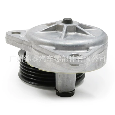 Remen gəricisi Accessory Tensioner Belt