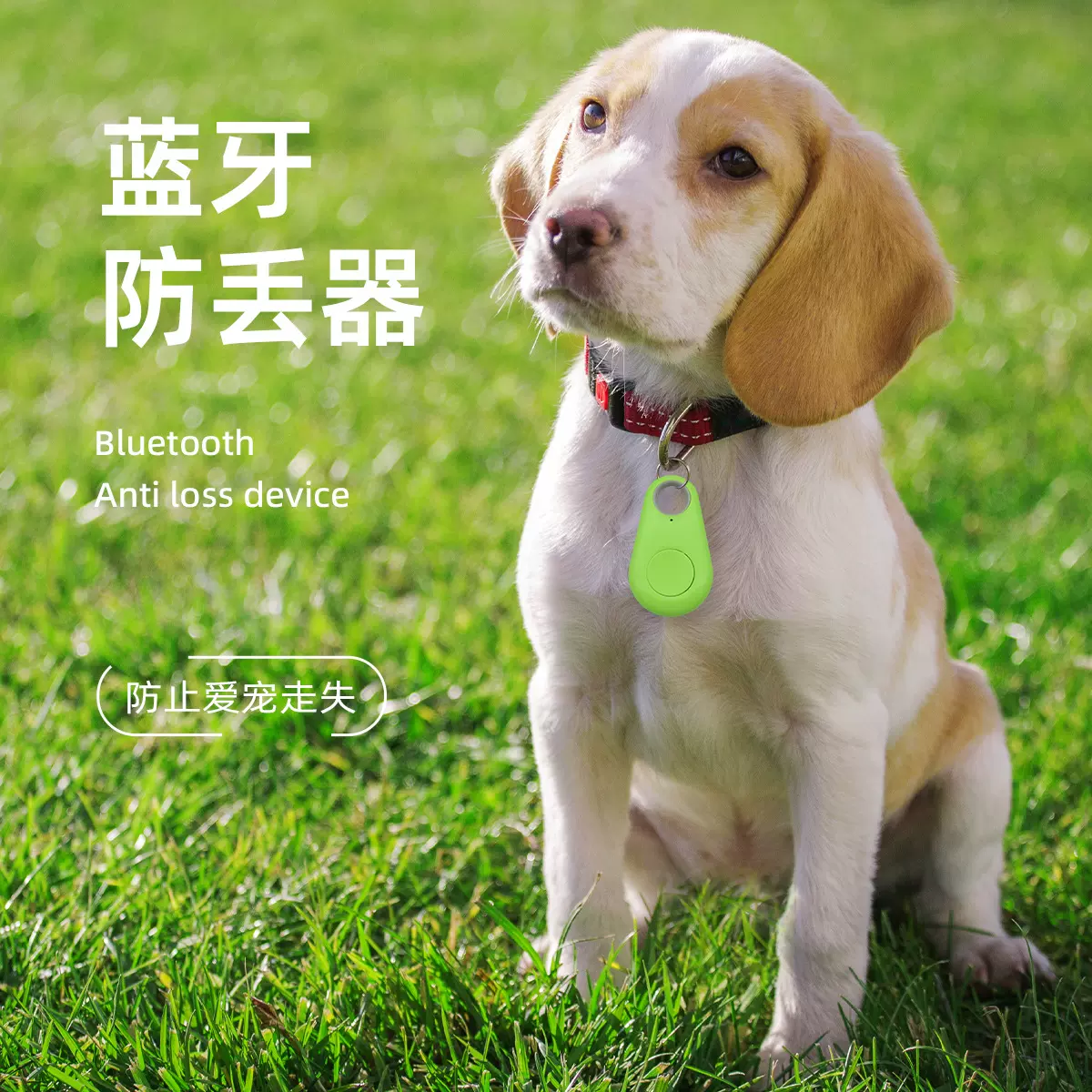 狗狗定位追踪器防拆双向防丢蓝牙猫咪定位器无卡宠物智能穿戴设备