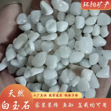 精品天然白玉石 小石子鱼缸垫底 盆栽美化 白色鹅卵石庭院园林石