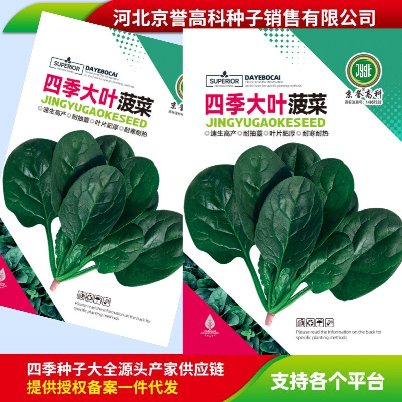 Four seasons big leaf spinach small leaf spinach lying on the ground spinach seeds family balcony courtyard vegetable seeds a generation of hair