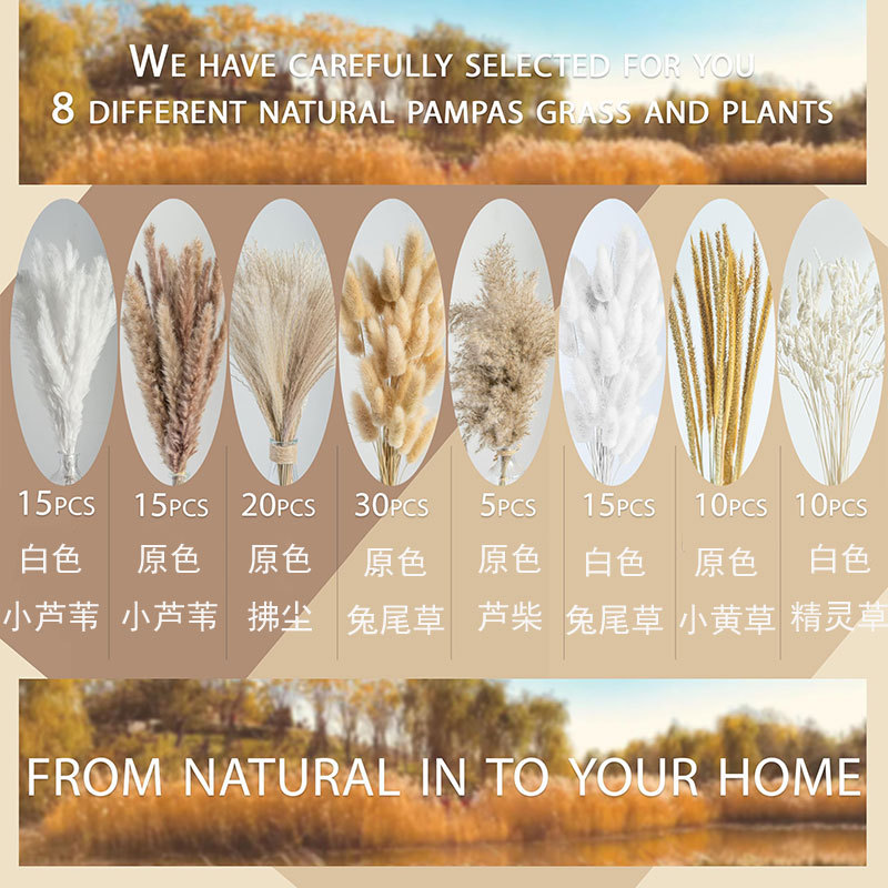 120개 박스 세트 1