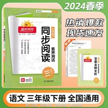 24春阳光同学同步阅读素养测试小学阶梯测试阅读理解专项训练下册