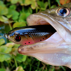 17g海釣硬餌路亞餌仿真餌 螺旋槳拖拉機路亞餌浮水鉛筆路亞魚餌