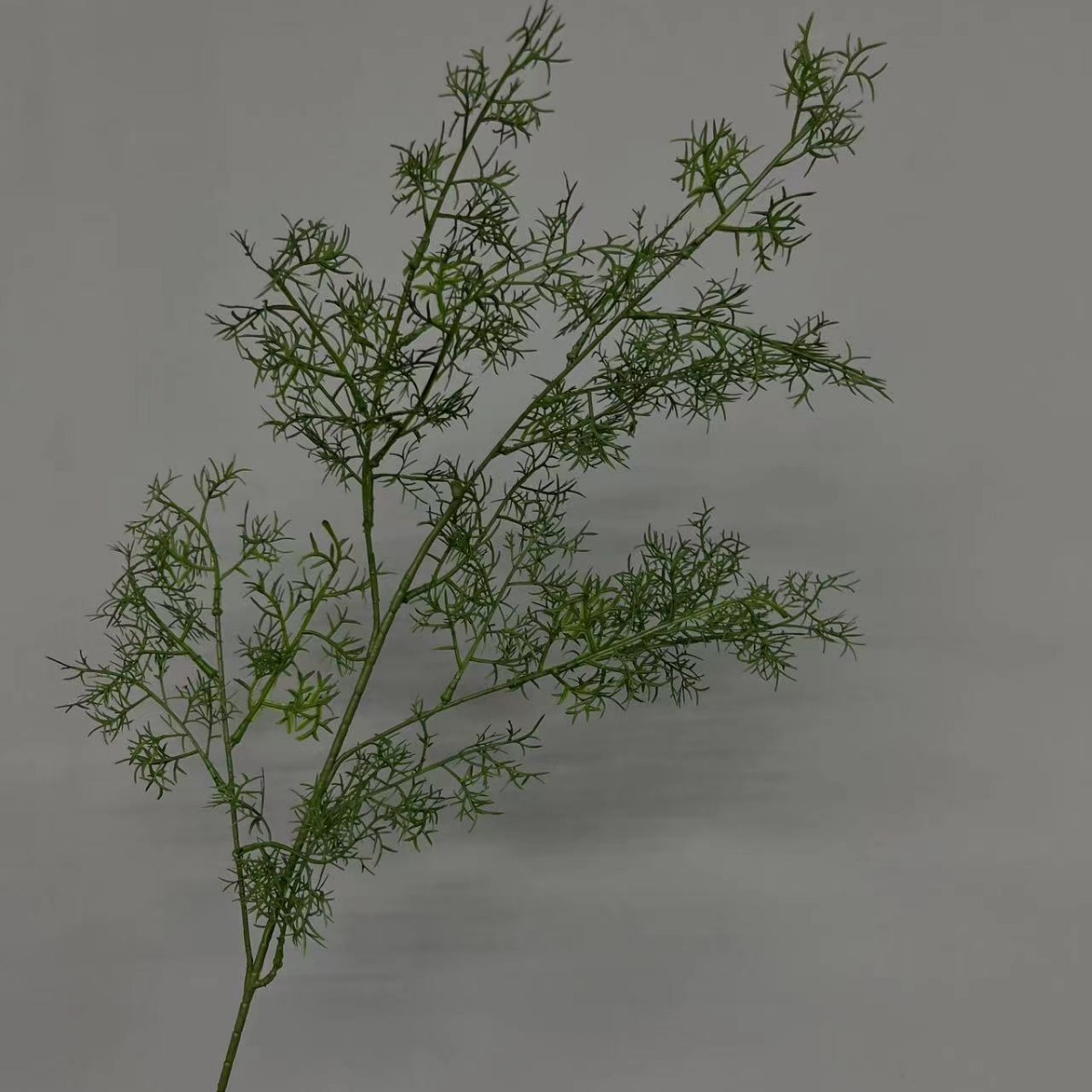 2024-05-06 09:20:54.jpg