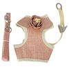 Cat traction rope Large cat dedicated to cat rope defense to break free of cat chain pet comfort, cute vest chest strap