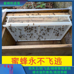 �p��Ⱥ�Bֳ��������IƬ�۷����Ⱥ��B�\�����Ůa�ѿ��������ӻ\