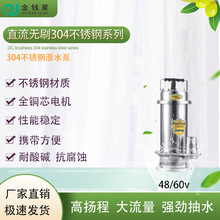 ��ǮȪ48/60vֱ����ˢ304�����ֱ����ˢ�͸�ʴ����ˮǱˮ��
