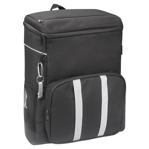 Wessleco Ice Bag 20L Cross-border Hot Selling Ice Bag Outdoor Picnic Bag Leak-Proof Cooling Preservation Refrigeration Insulation Bag