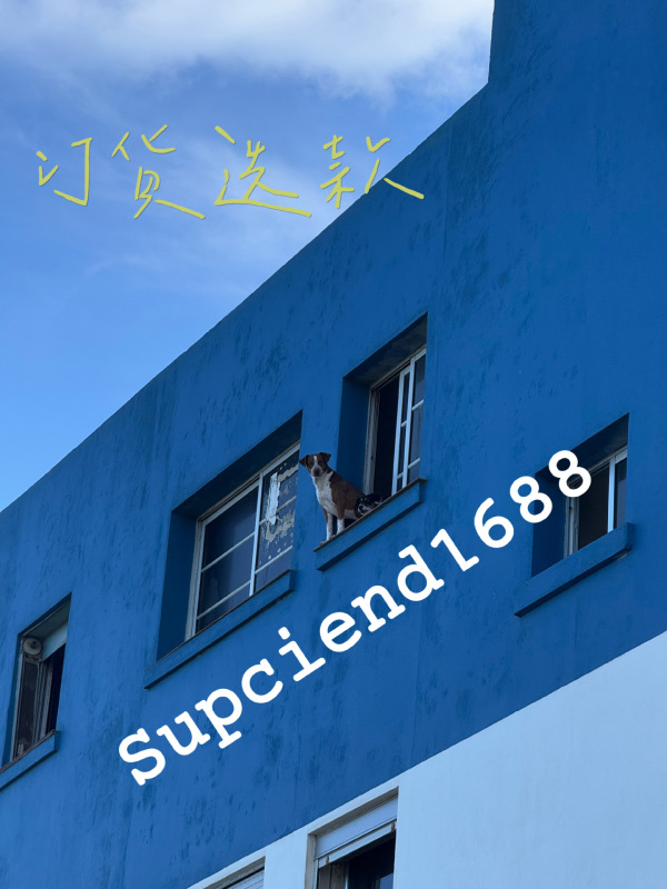 羊毛版 /SST 2025秋冬加厚拉链毛衣外套连帽宽松粗棒针织开衫|undefined