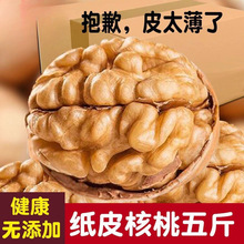 新疆185纸皮核桃薄皮大核桃原味学生孕妇坚果生核桃新鲜新货干果