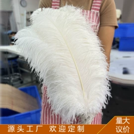 羽毛、羽绒;静电除尘刷;胸花