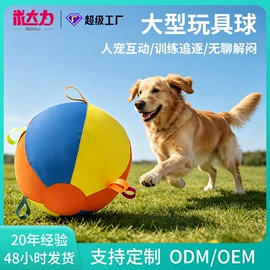 伊丽莎白圈;宠物项圈;狗狗食具