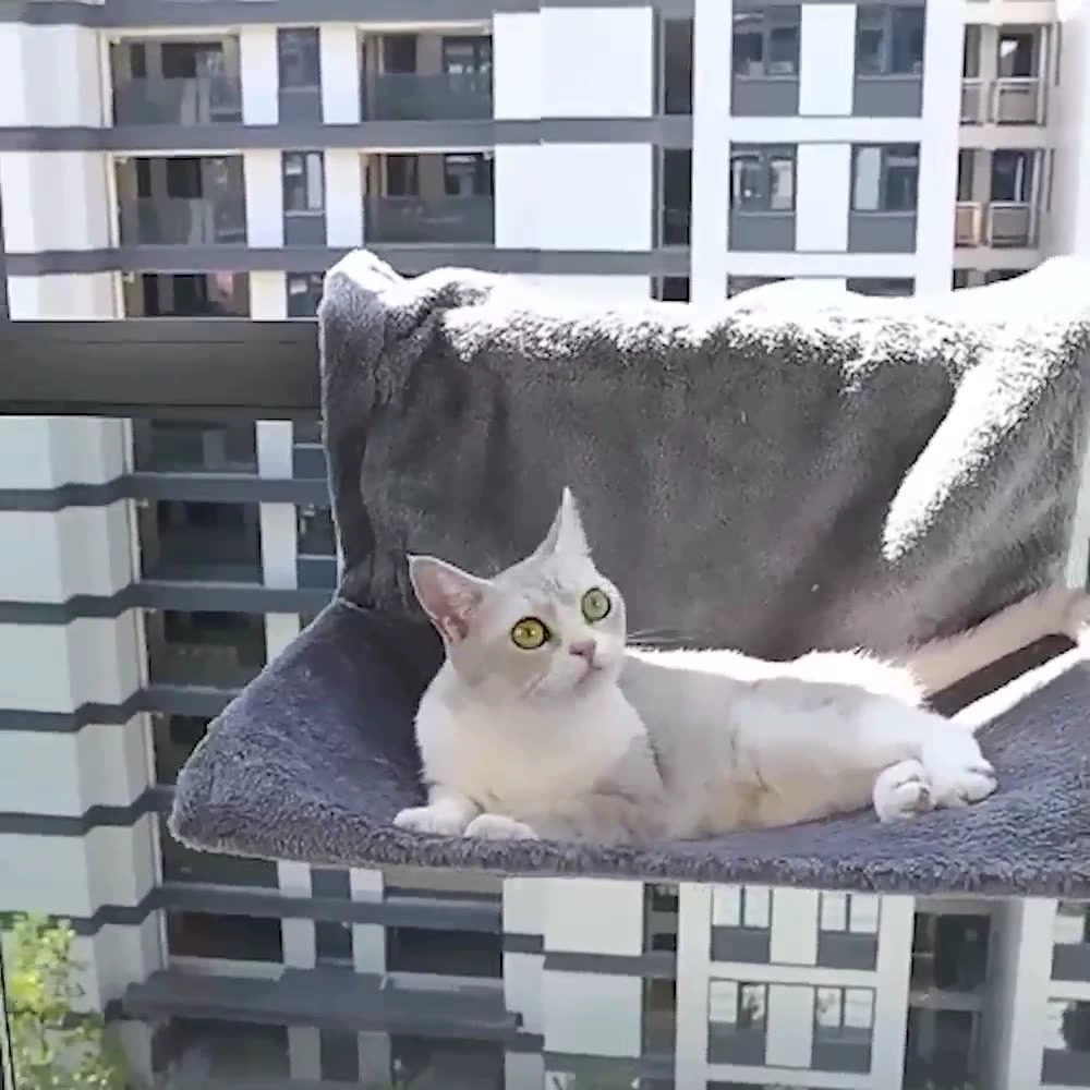 Лежак для кошек висячий кошачий гамак кровать для питомца Четыре сезона универсальная подвеска окно подоконник Окно, солнцекоты, солнцекот кровать принадлежности