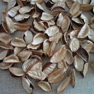 ���� �ޚ� δ ֲ�� �ɻ��ɹ���֦ �ֹ�������������