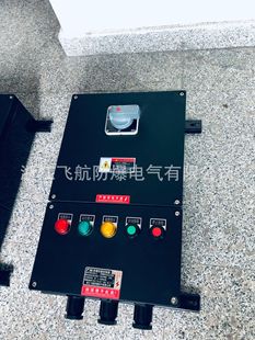 BXM(D)8050 anti-corrosion control box explosion-proof anti-corrosion distribution box anti-corrosion box empty box