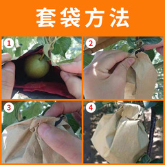 批發桃子套袋專用袋桃袋果袋水蜜桃黃桃紙袋蟠桃冬桃水果套袋防水