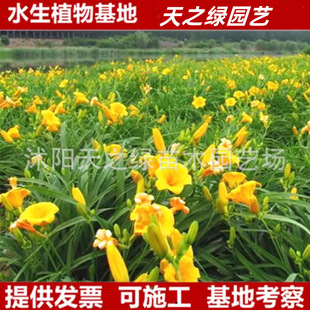 �̓r���N�ͺ��ر��޸����ܽ����������ͥԺ��·���@�G���m���ԏ�