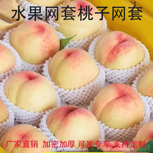 防震水果网套包装枇杷泡沫网袋芒果桃子苹果网兜果袋保护套厂家