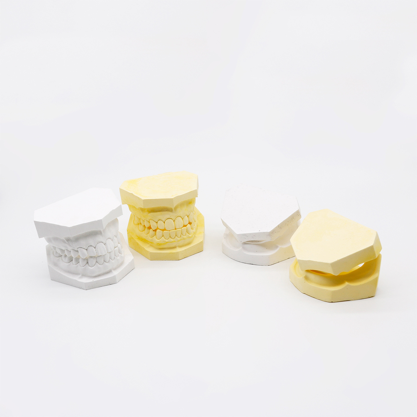 Modelo de yeso oral modelo de yeso dental enseñanza modelo de yeso dental modelo de yeso dental modelo de mandíbula superior e inferior modelo oral