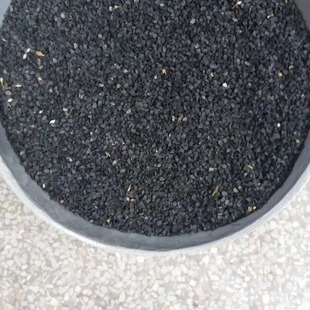 ��ꖹ��߲˷N��989���~�²˻�����@�̨����Ұ��