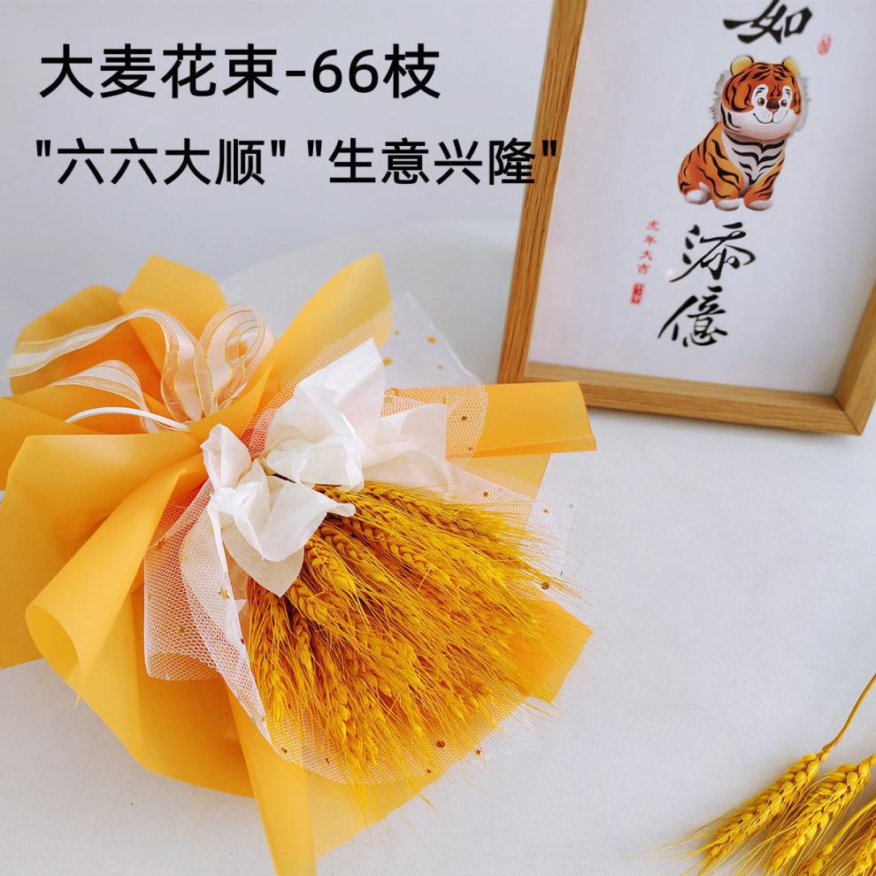 03db648a-a3a5-416d-adea-3fdda9eb44da.jpe