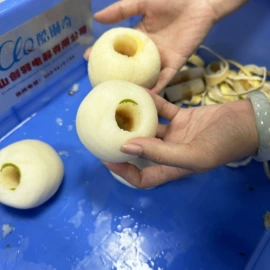 果蔬加工设备;冷冻食品加工;肉品加工设备