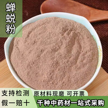 蝉蜕粉中药材超细知了皮粉知了壳金蝉衣蝉皮粉虫蜕虫退香粉