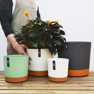 Thickened Plastic Resin Flower Pot White Fleshy Green Aroma Hydrangea Phalaenopsis Large Pot Nordic Simple Anti-Rotten Root