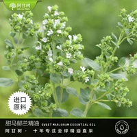 Форрест Египетский сладкий Майоран Эфирное масло Origanum majorana Одностороннее эфирное масло в наличии Оптовая продажа