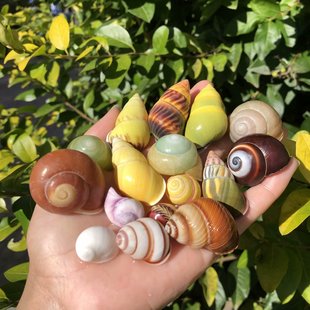 ��Ȼ����ؐ���Sɫ������΁ţ���˱��ղ��ݼľ�з��Q���~���쾰