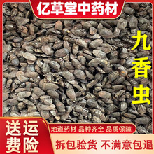 �����x  100�˰��] ��؛ ��ƨ�x �ڶ��x ƨ���x ƨ���x��؛��