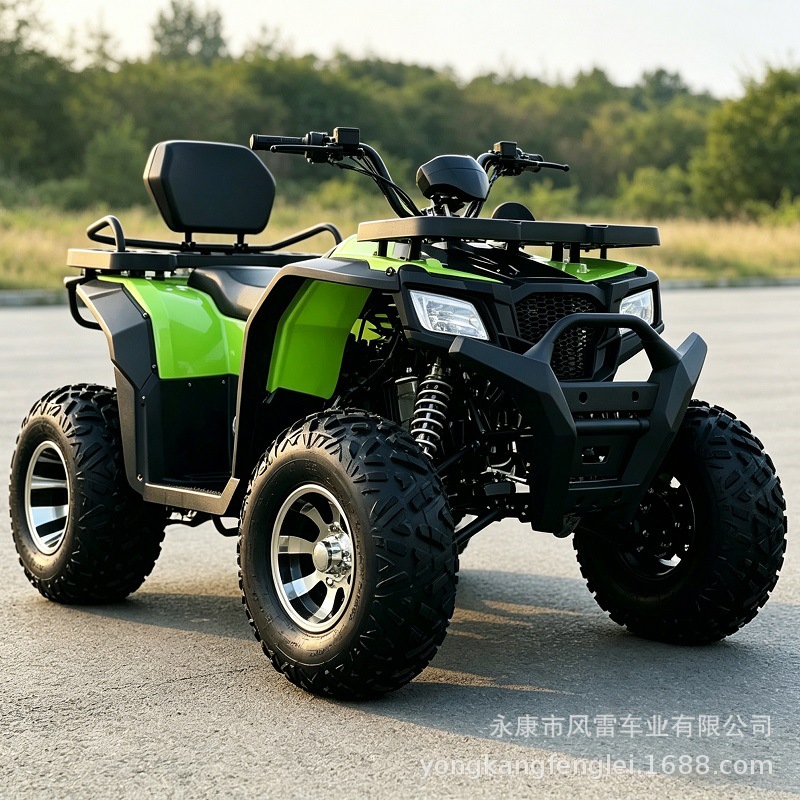 Cuatrimoto ATV Todo Terreno 200cc de Hierro y Plástico con Transmisión Automática para Montaña image 5