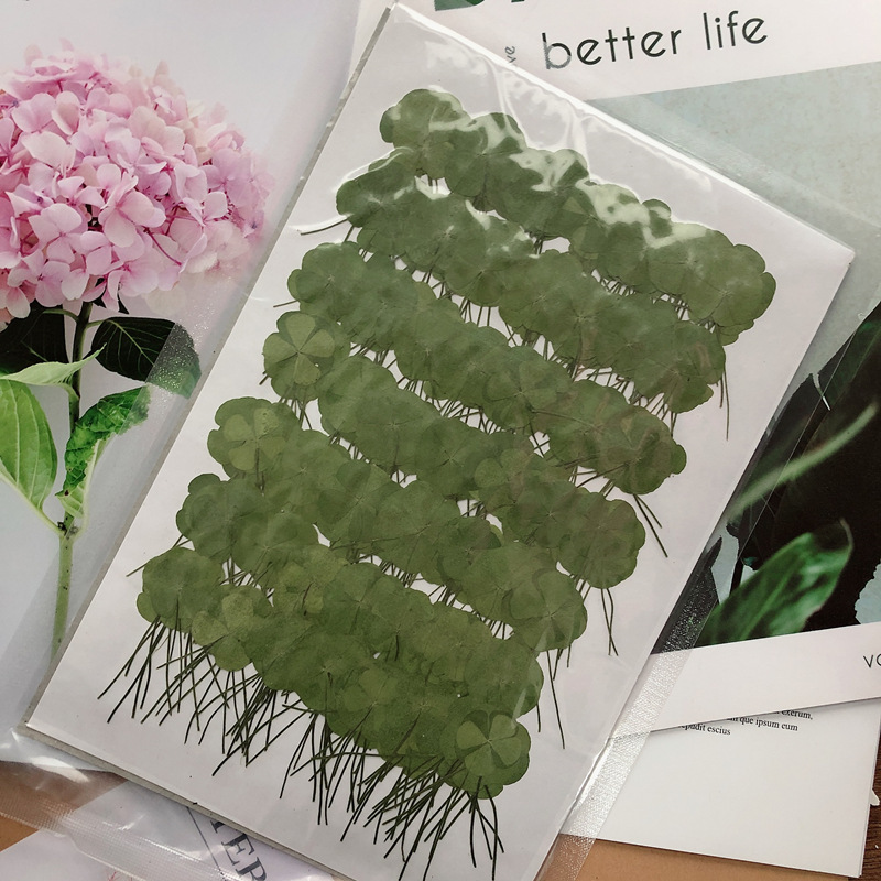 微信图片_20210106112448_副本