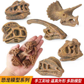 仿真跨境恐龙头骨儿童玩具模型霸王龙三角龙牛角龙窃蛋龙骨架考古